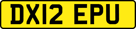 DX12EPU