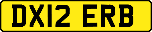DX12ERB