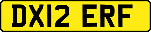 DX12ERF