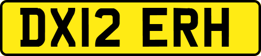 DX12ERH