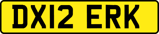 DX12ERK