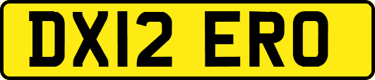 DX12ERO