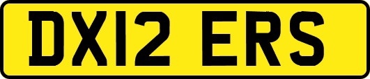 DX12ERS