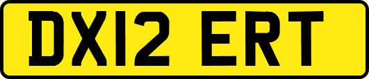 DX12ERT