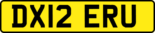 DX12ERU
