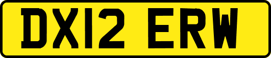 DX12ERW