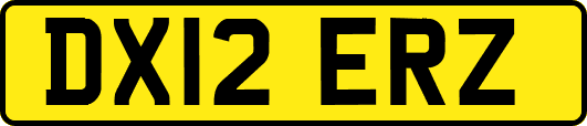DX12ERZ