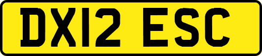 DX12ESC