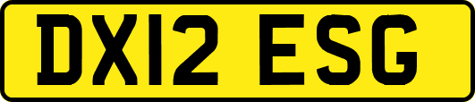 DX12ESG