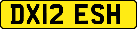 DX12ESH