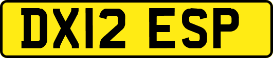 DX12ESP