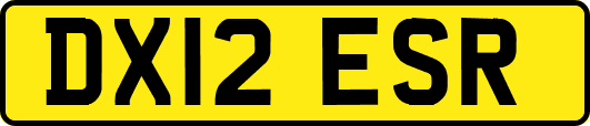 DX12ESR