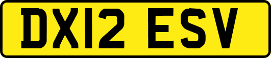 DX12ESV