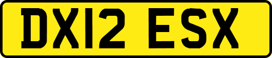 DX12ESX