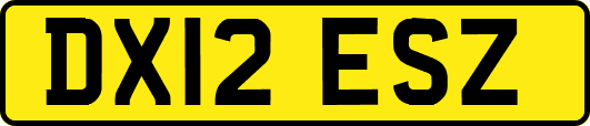 DX12ESZ