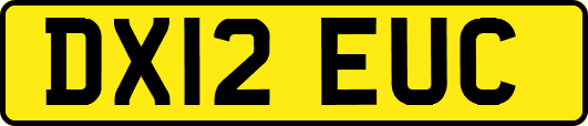 DX12EUC