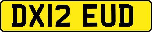 DX12EUD
