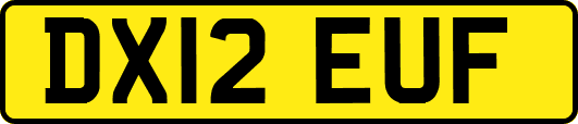DX12EUF