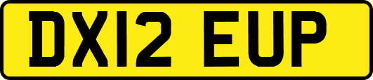 DX12EUP