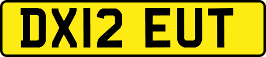 DX12EUT