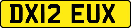 DX12EUX