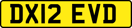 DX12EVD