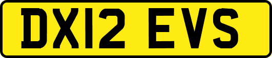 DX12EVS