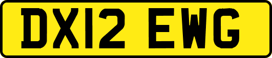 DX12EWG