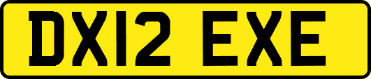 DX12EXE