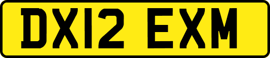 DX12EXM