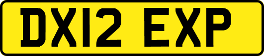 DX12EXP