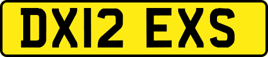 DX12EXS
