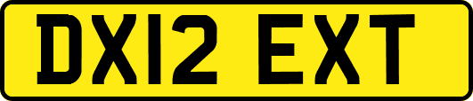 DX12EXT