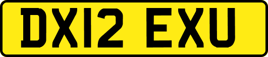 DX12EXU