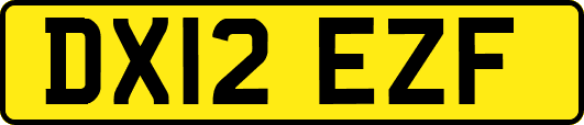 DX12EZF