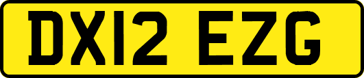 DX12EZG