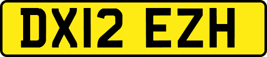 DX12EZH