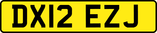 DX12EZJ