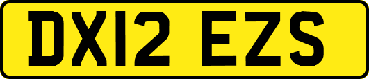 DX12EZS