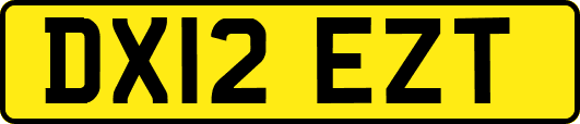 DX12EZT