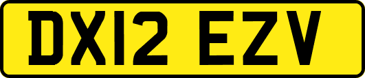 DX12EZV