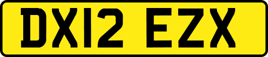 DX12EZX