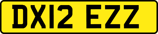 DX12EZZ