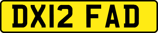 DX12FAD