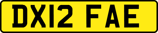DX12FAE