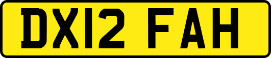 DX12FAH