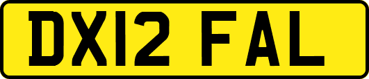 DX12FAL
