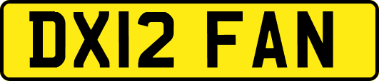 DX12FAN