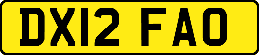 DX12FAO