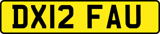 DX12FAU